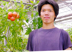 中井さんのフルーツトマト